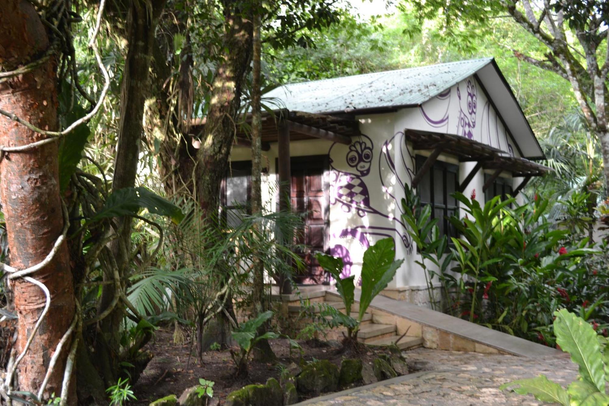Hotel Jungle Lodge 티칼 객실 사진