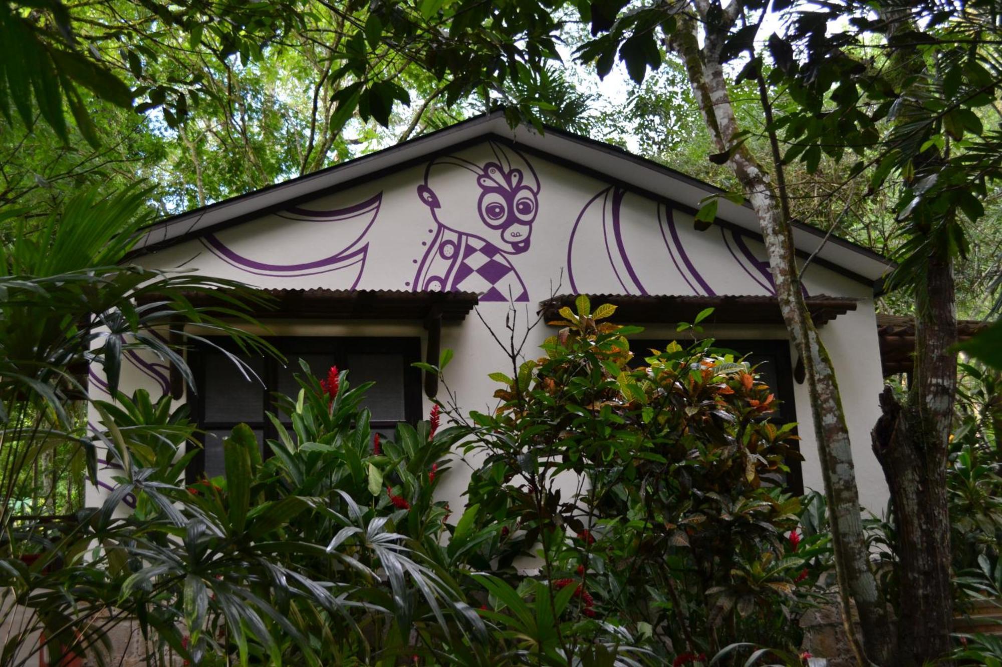 Hotel Jungle Lodge 티칼 객실 사진