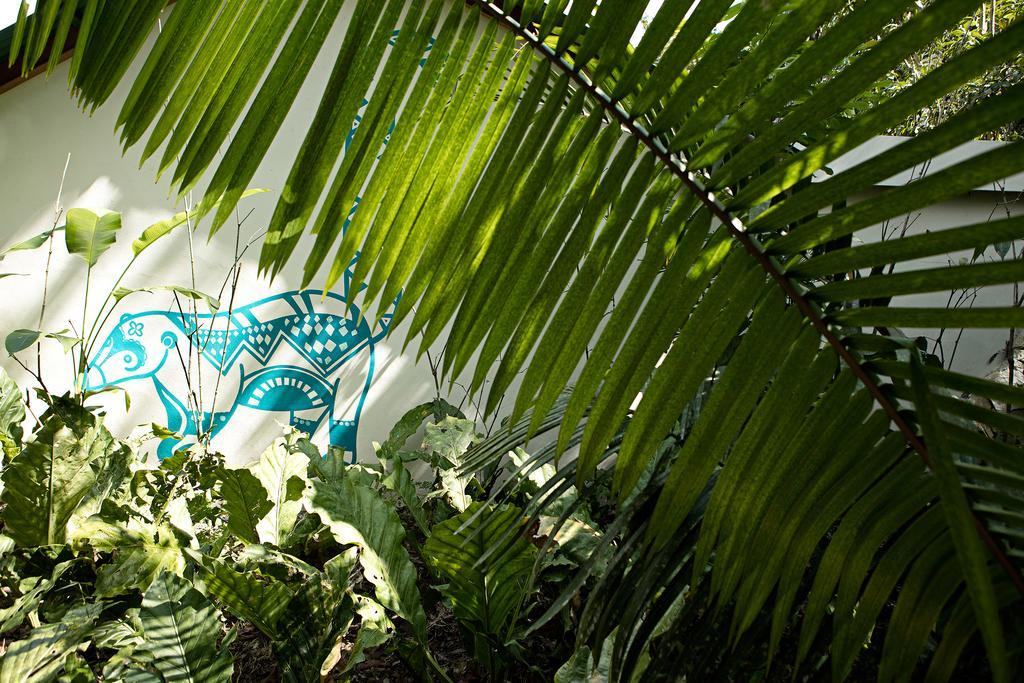 Hotel Jungle Lodge 티칼 외부 사진