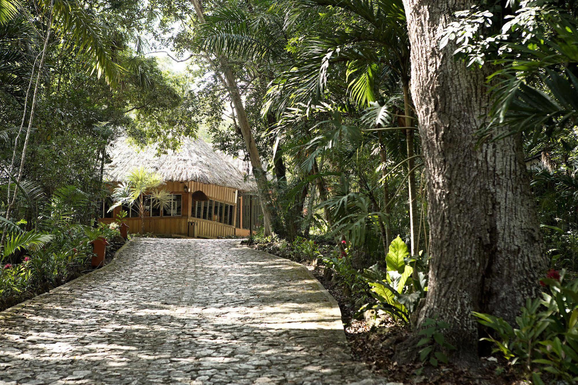 Hotel Jungle Lodge 티칼 외부 사진