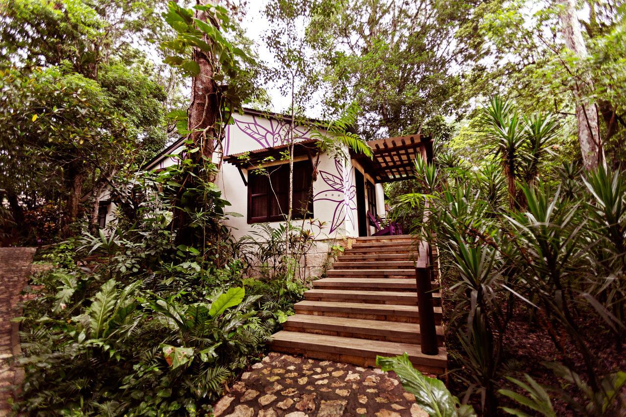 Hotel Jungle Lodge 티칼 외부 사진